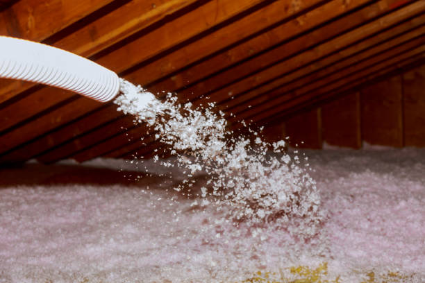 Best Insulation Replacement Services  in West Hamburg, PA