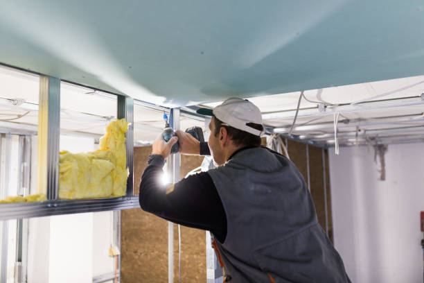 Best Professional Insulation Contractor  in West Hamburg, PA