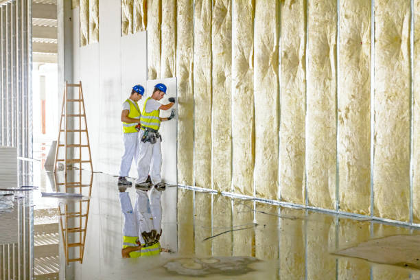 Best Insulation Removal Services  in West Hamburg, PA